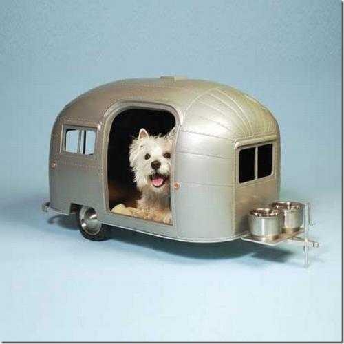 Архитектура для четвероногих друзей Архитектура для четвероногих друзей 7