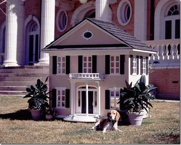 Архитектура для четвероногих друзей Архитектура для четвероногих друзей 8