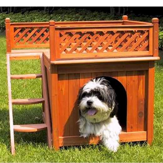 Архитектура для четвероногих друзей Архитектура для четвероногих друзей 10