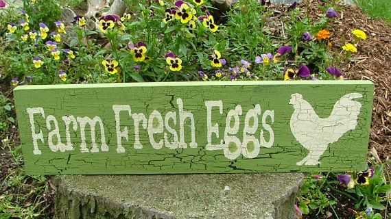 54eb0e9ddf062a0731c2994f9d2e696a