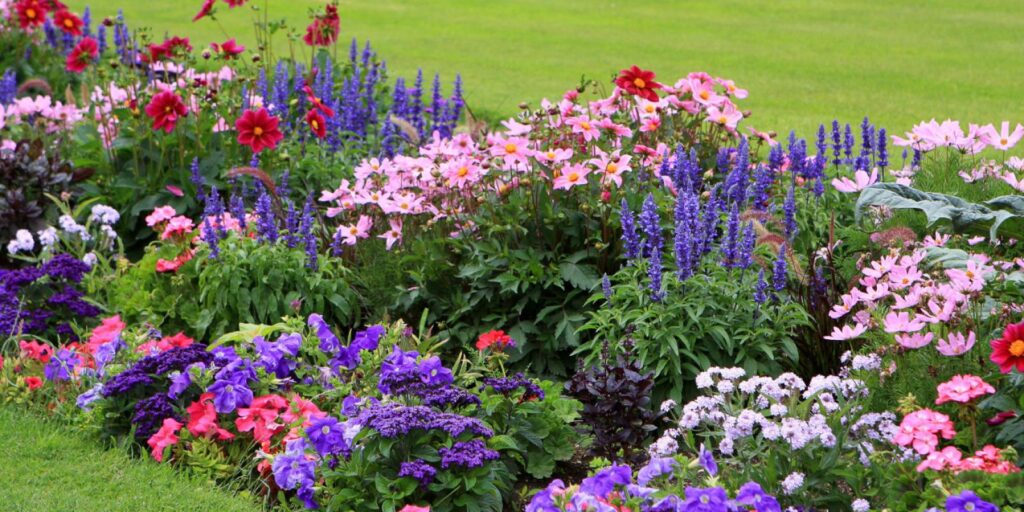 Рослини для весняного саду: що посадити для яскравого та доглянутого двору 2 - Int Mebel Рослини для весняного саду: що посадити для яскравого та доглянутого двору 1 - Int Mebel